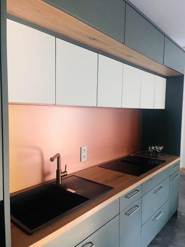 une cuisine avec des armoires blanches et un évier dans l'établissement modern appartement with private garden & shared pool, à Seignosse