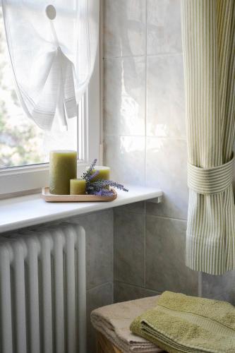 a radiator in a bathroom with a window and a plate of cheese at TRENTINO LODGE Via San Vito in Strigno