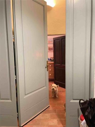 Φωτογραφία από το άλμπουμ του La casa di Carlotta σε Usi