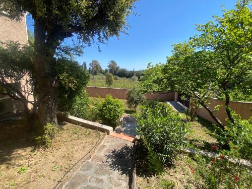 un jardin avec un arbre et une clôture dans l'établissement Maison de vacances vue sur les vignes, piscine, trampoline, ping pong et pétanque, à Cogolin