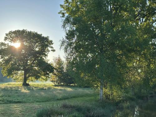 Rives du Bel Air - Hébergement & caravaning -