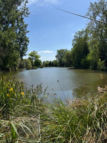 - une vue sur une rivière bordée d'arbres et de buissons dans l'établissement Rives du Bel Air - Hébergement & caravaning -, à Passais-la-Conception