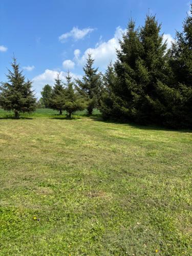 un champ d'herbe planté d'arbres en arrière-plan dans l'établissement Rives du Bel Air - Hébergement & caravaning -, à Passais-la-Conception