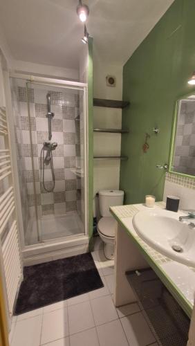 une salle de bain avec une douche, des toilettes et un lavabo dans l'établissement avignon centre appartement 4 personnes, à La Celle-sous-Gouzon