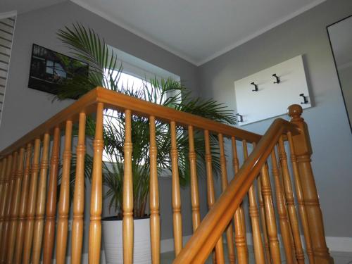 a wooden staircase with a plant in a room at Bakumara in Bakum