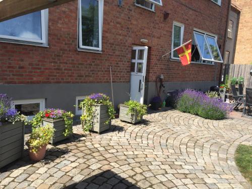 Fingal 9 på bästa lägetにある庭