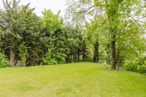 a large green field with a tree in the middle at Das InnSight Appartementhaus - Appartements mit Küchen für Lang und Kurzzeitaufenthalte in Passau