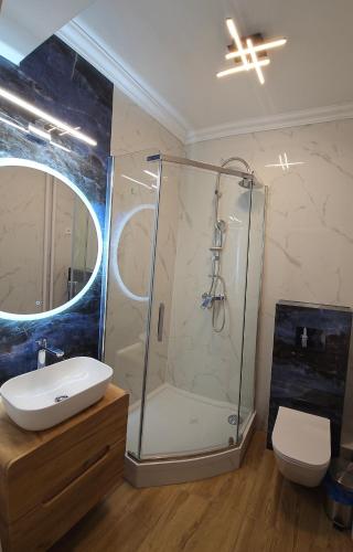 a bathroom with a shower with a sink and a toilet at Sea View Slavia in Międzyzdroje
