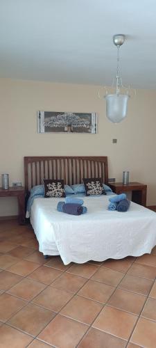 a bedroom with a bed with blue pillows on it at Villa Ca Na Llum in Trebeluger