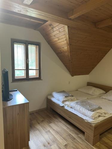a bedroom with a bed and a desk with a television at Madlenka in Bělá pod Pradědem