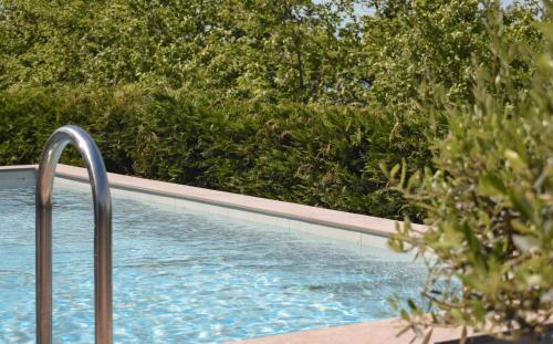 a swimming pool with a metal railing next to trees at Villa Florale in Široka