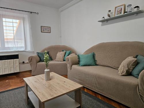 a living room with two couches and a coffee table at Csobogós Vendégház Mályinka in Mályinka