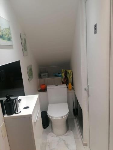 une salle de bain blanche avec des toilettes et un lavabo dans l'établissement Les chênes du lac, à Saint-Saturnin-lès-Apt