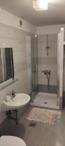 Room Benjamin في بوريتش: حمام مع دش ومغسلة ودش