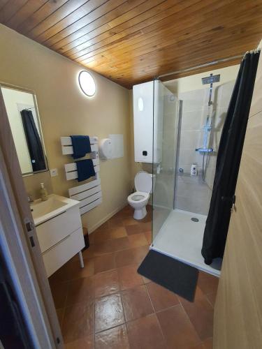 une salle de bain avec une douche, des toilettes et un lavabo dans l'établissement Beau studio avec piscine, à Orange