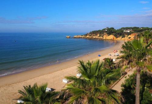 a beach with palm trees and people in the water at Quarto Charmoso a 300m da praia de Olhos de Água ! in Albufeira