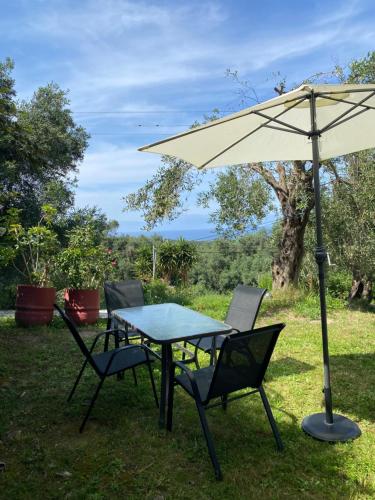 a table and chairs under an umbrella in the grass at Sea View House in Astrakeri
