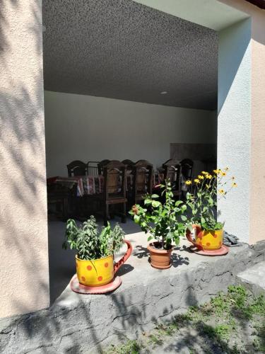 Φωτογραφία από το άλμπουμ του Qax Ağçayda EVLƏR σε Qax