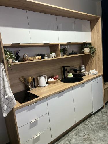 Kuchyň nebo kuchyňský kout v ubytování Apartman Carpe Diem