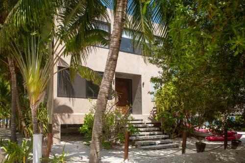 Zahrada ubytování Casa Gonza Holbox
