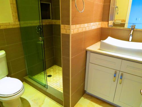 a bathroom with a shower with a toilet and a sink at 2BR Luxury Beachfront Duplex Villa on Sapphire Beach III in East End