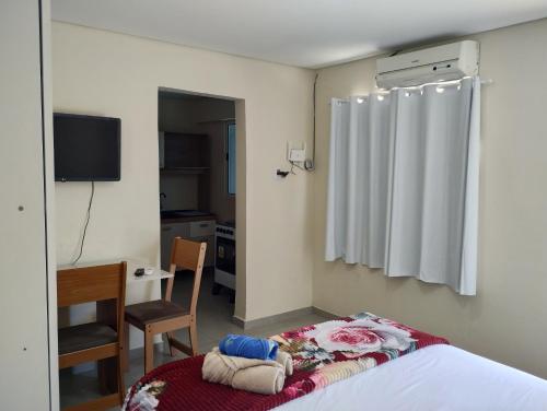 a bedroom with a bed and a desk and a television at Pousada Maranata Canoas in Canoas
