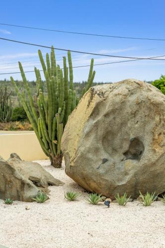 a large rock sitting in front of a cactus at New Villa Jaburibari in Paradera