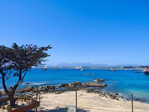 a beach with a tree and water and boats at Departamento en Quintero in Quintero