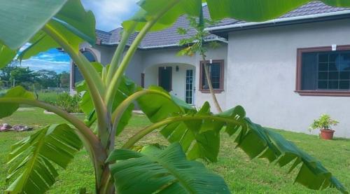 Zahrada ubytování Sanxai Bnb- Homestay