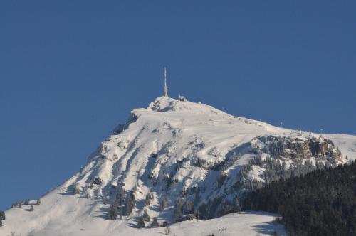a mountain covered in snow with trees on it at Frühstückspension & Appartements Eugenie in Kitzbühel