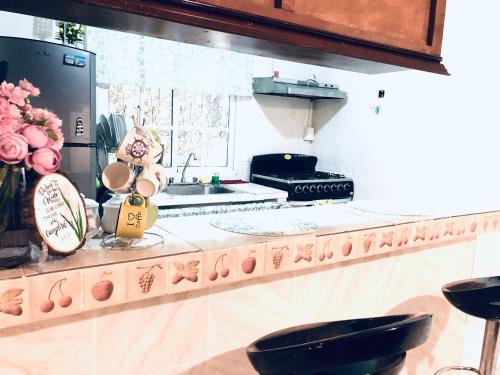 a kitchen with a counter with flowers and a sink at La casa del almendro in Concepción de La Vega