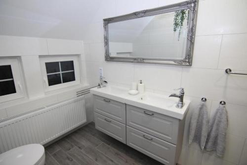 Un baño blanco con lavabo y espejo. en Spindlerhof am Harz, en Langeln