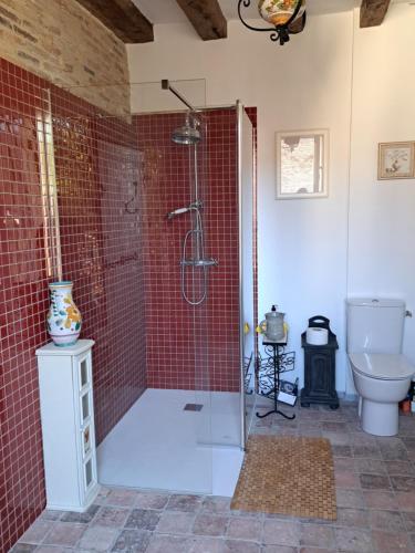 a bathroom with a shower and a toilet at Chambres d'Hôtes L'Ecu in Preuilly-sur-Claise