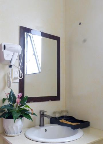 a bathroom sink with a mirror and a plant at Tasme Dalat Signature in Da Lat