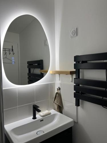 une salle de bain avec un lavabo et un miroir dans l'établissement Le perchoir toulousain, à Toulouse