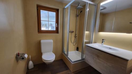 a bathroom with a toilet and a shower and a sink at Belalp - schöne Ferienwohnung SOLELUNA in Belalp