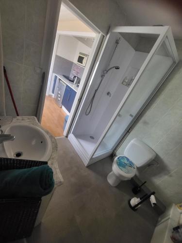 une salle de bain avec une douche, un lavabo et des toilettes dans l'établissement Studio 2 a 4 personnes, à Illhaeusern