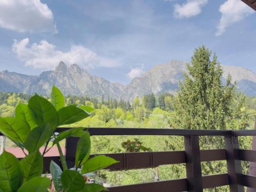 a view from a balcony with mountains in the background at UMANI Retreat in Buşteni