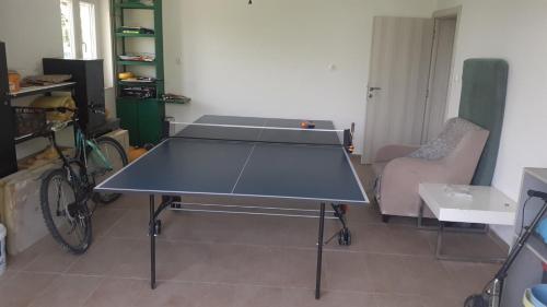 a ping pong table in a living room at Apartman EXIT-TVRĐAVA in Petrovaradin