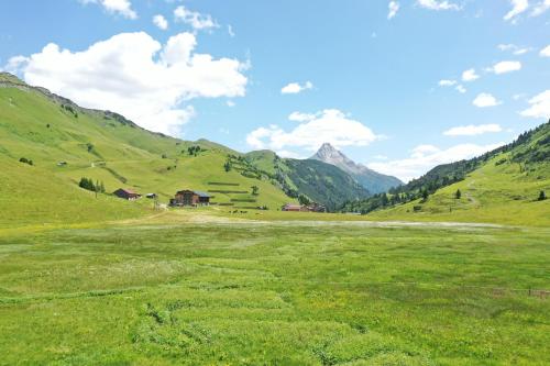 a green field with mountains in the background at apart-wolf-arlberg in Warth am Arlberg