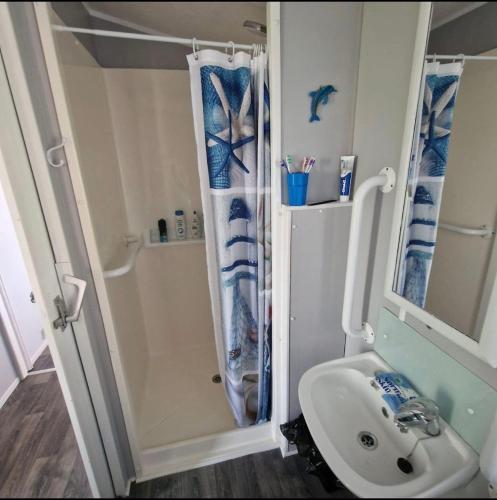 a bathroom with a shower and a sink at Skipsea sands Northfield corner in Ulrome