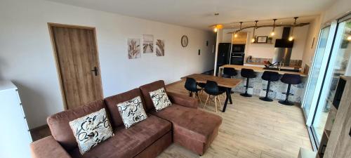 un salon avec un canapé marron et une table dans l'établissement Villa Rominello, à Sari-Solenzara