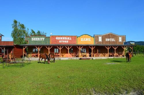 a group of horses grazing in a field in front of a barn at BUBLA CITY RANCH in Kopřivnice