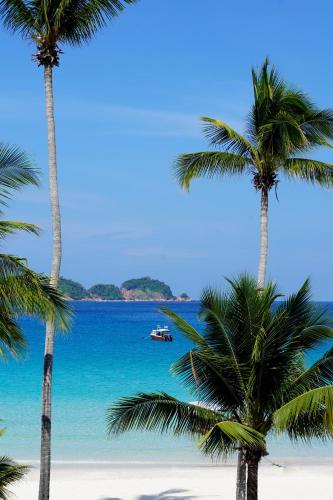 two palm trees on a beach with a boat in the water at Peridot By The Sea Redang in Redang Island