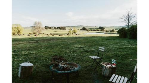 a field with two chairs and a table and two logs at Bedervale Tiny by Tiny Away in Braidwood
