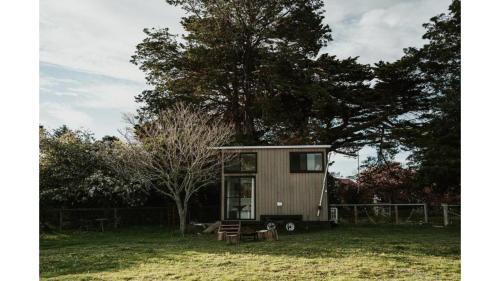 a tiny house sitting in a field next to a tree at Bedervale Tiny by Tiny Away in Braidwood
