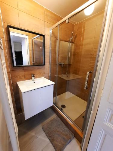 une salle de bain avec une douche, un lavabo et un miroir dans l'établissement Le Buffon - Apt 2 Personnes, 1 ch, Centre ville, à Dijon