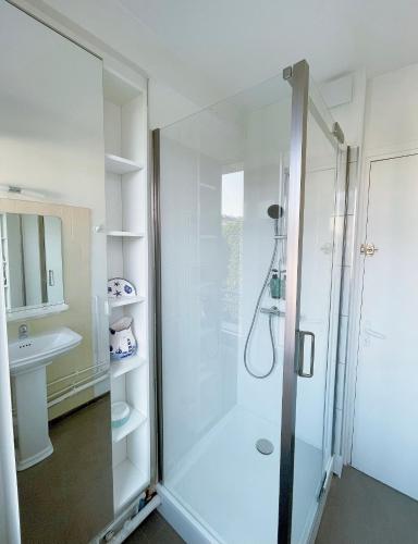 une salle de bain avec douche et lavabo dans l'établissement Cathedral and Seine View , Heart of Rouen, à Rouen