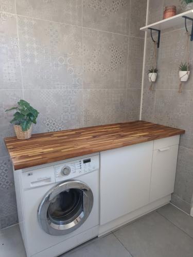 - un lave-linge et un sèche-linge avec un comptoir en bois dans l'établissement Villa on Arcachon Bay, à Audenge