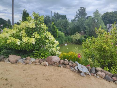a garden with a turtle and rocks and a pond at Liepu Residence in Olayne